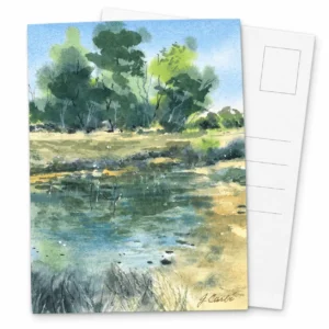 River - Post Card by Nadair Art